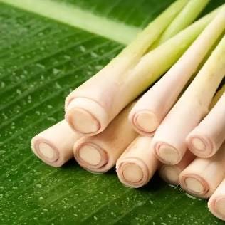 Para El Baño – Lemongrass & Ginger Room Spray | Fresh Latin-Inspired Mist